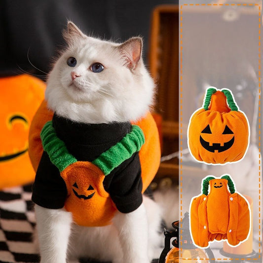 Halloween Pumpkin Lantern Costume