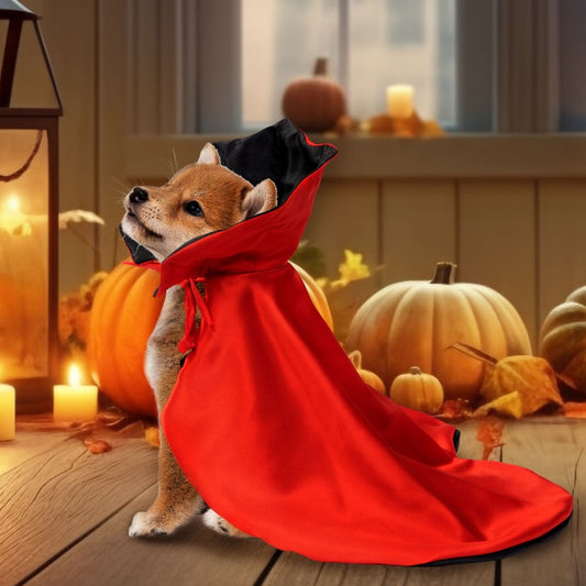 Halloween Cat and Dog Vampire Costume