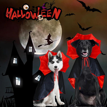 Halloween Cat and Dog Vampire Costume