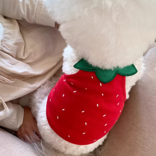 Korean Version Strawberry Vest