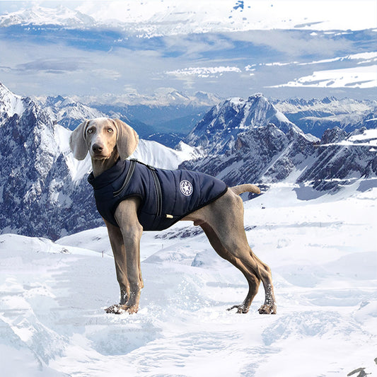Dog Cotton-Padded Clothes