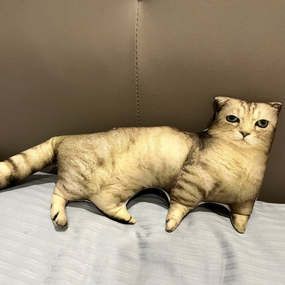 Funky Cat Pillow