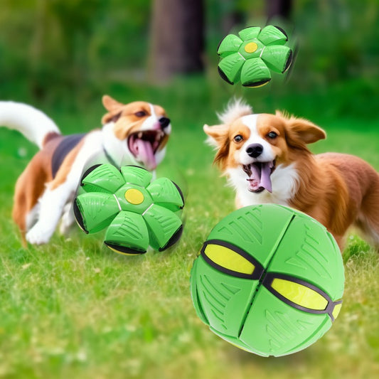 Elastic Stepping Ball