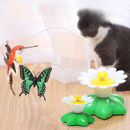 Electric bird & Butterfly Cat Toy
