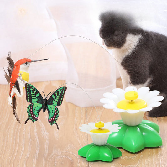 Electric bird & Butterfly Cat Toy