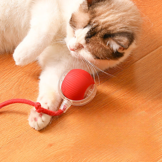 Automatic Sound Cat Ball