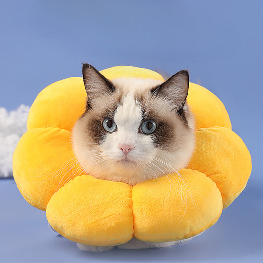 Cat Anti-Lick and Bite Sunflower Neck Cover