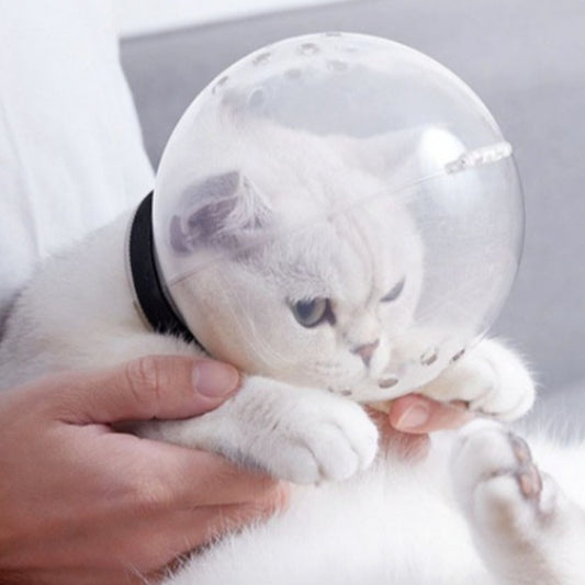 After Surgery Anti-Licking Pet Safety Hood