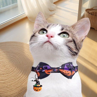 Halloween Pet Collar