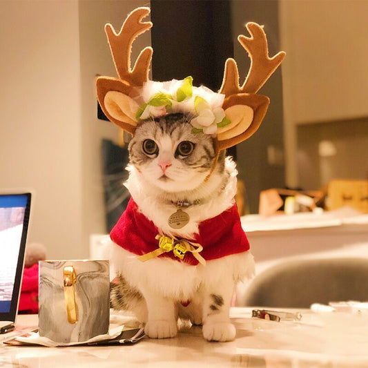 Christmas Pet Antlers Clothing