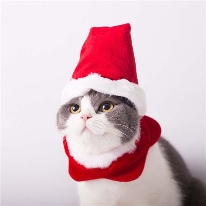 Christmas Pet Antlers Clothing