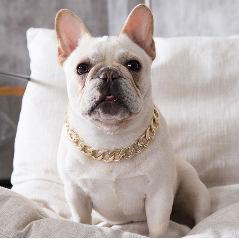 French Bulldog Plastic Gold Chain