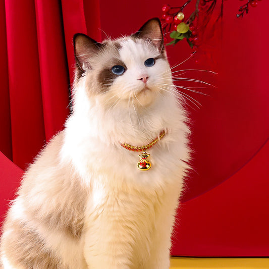 Cat Bell Collar
