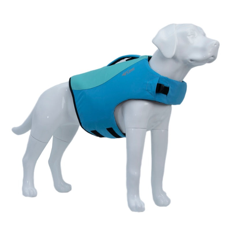 Life Vest