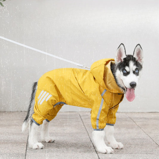 Waterproof Raincoat