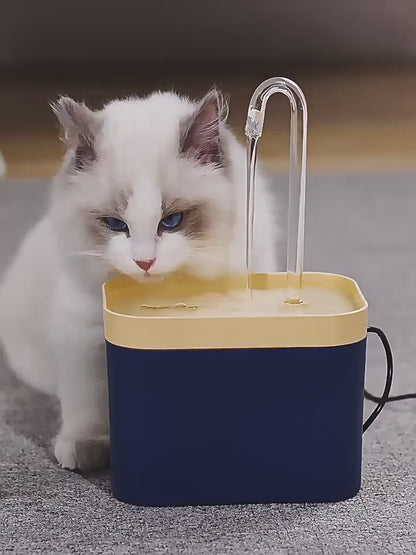 Flowing Water Dispenser